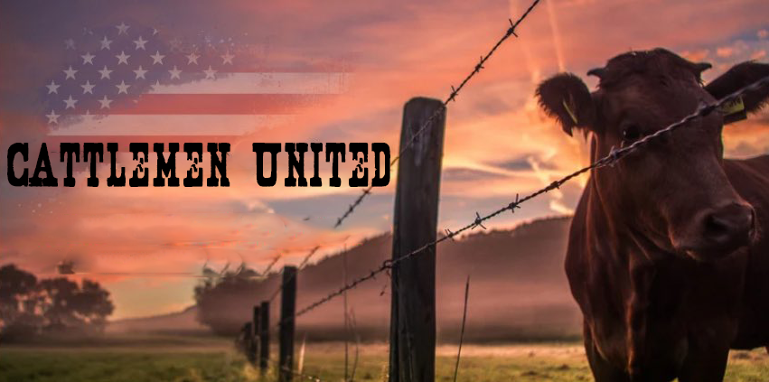 Cattlemen United with cow beside a fence