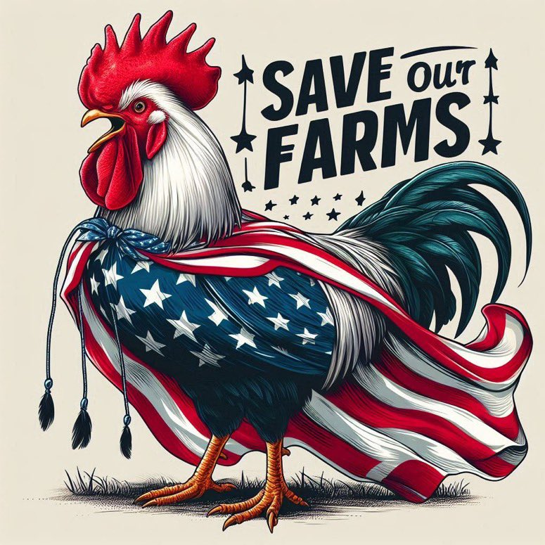 Patriotic chicken to save our farms